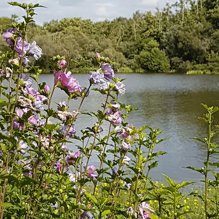 Gh La Reserve 4* Gastes