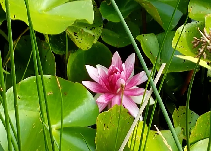 Gh La Reserve Campingplatz 4*