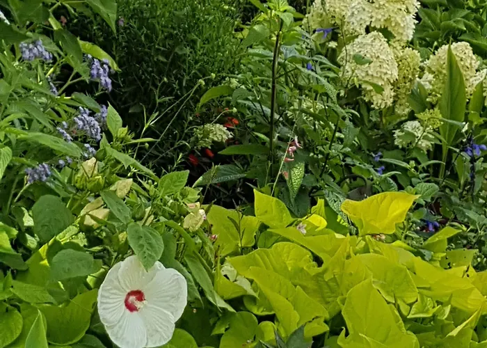 Gh La Réserve Campeggio Gastes