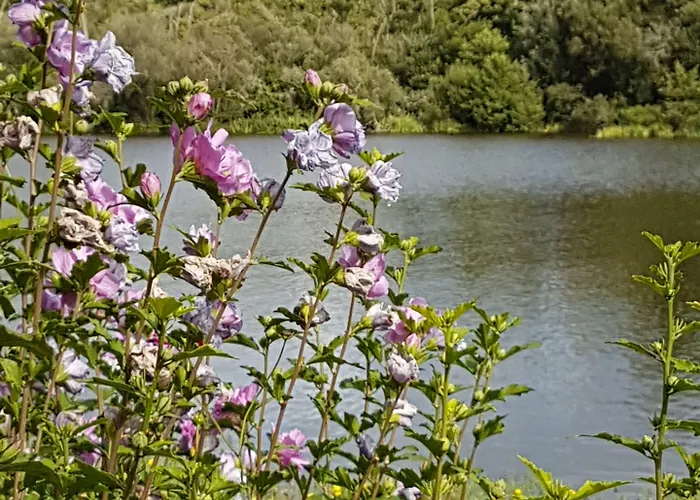 Gh La Réserve 4* Gastes